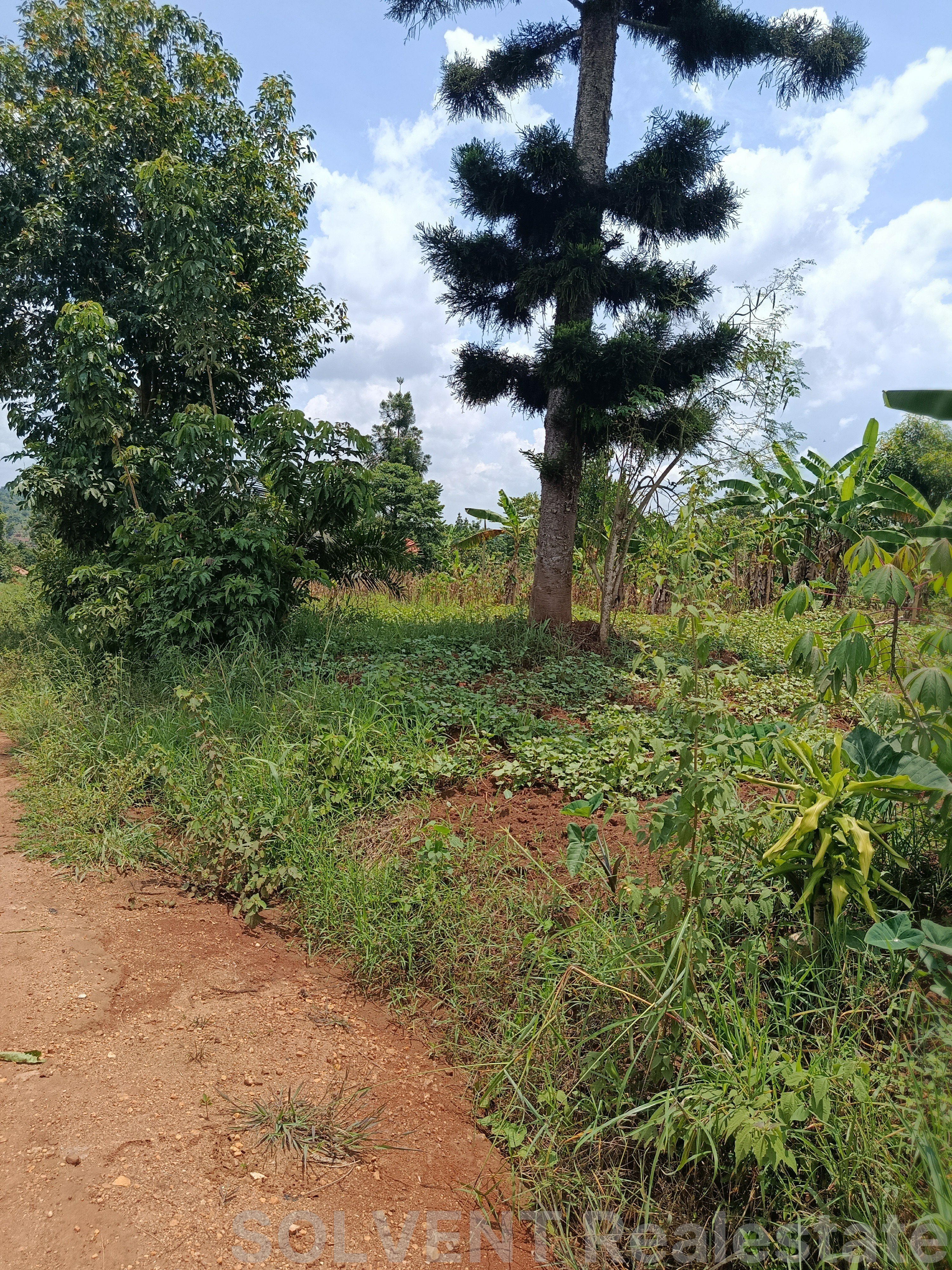 ½ ACRE (0.5 ACRES) IN KABEMBE
