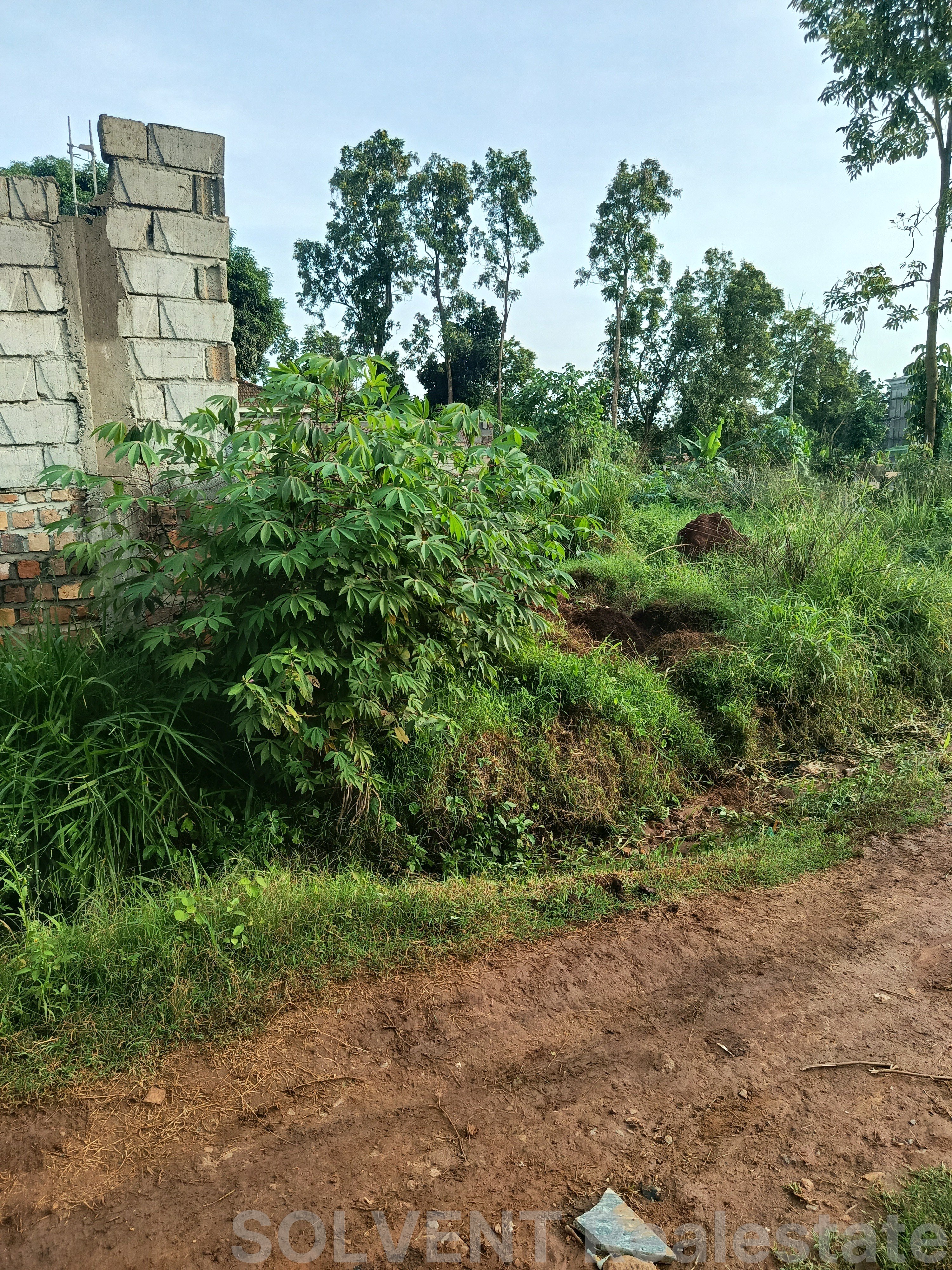50x100 PLOT IN SEETA BAJJO