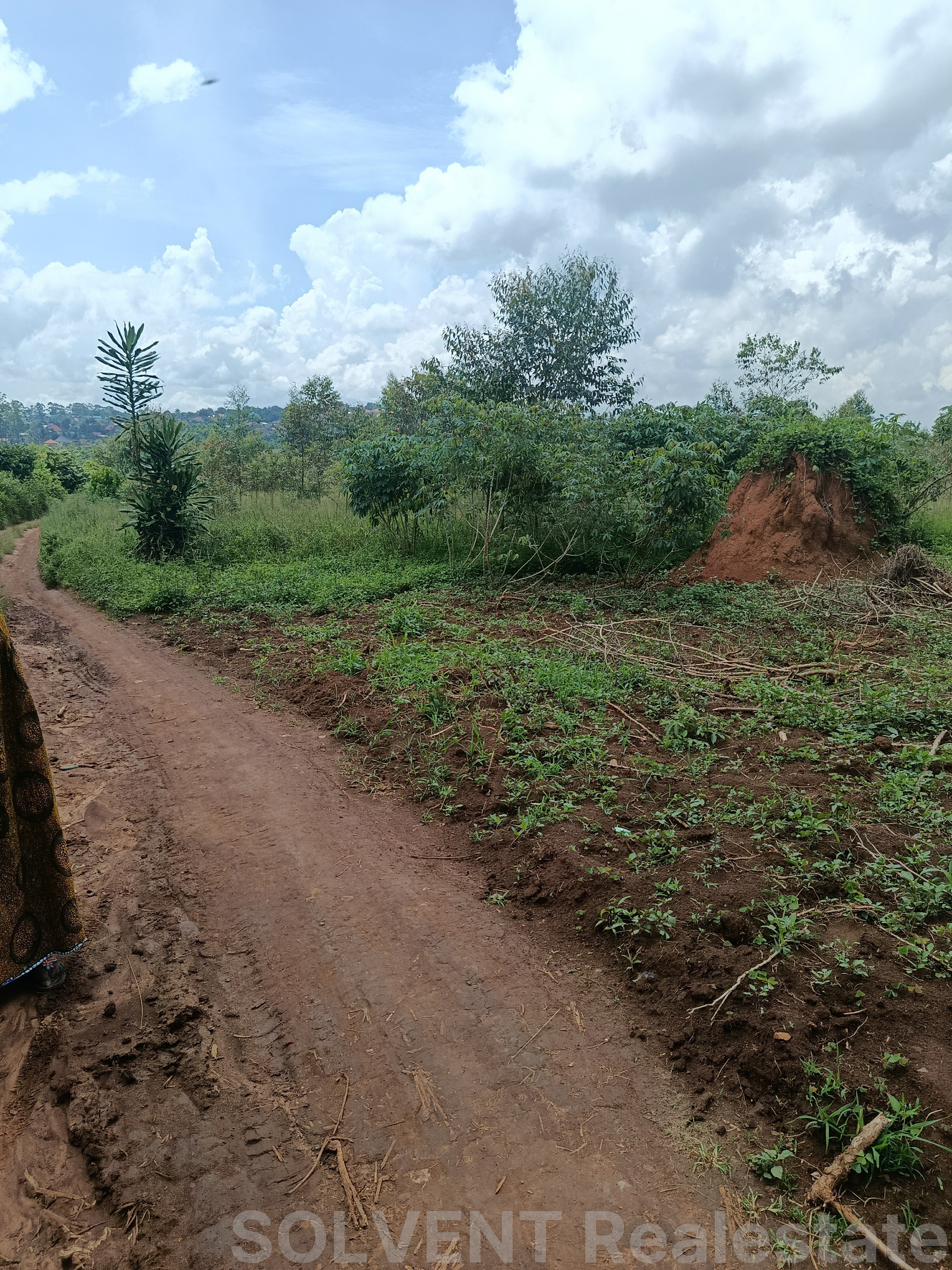 50x100 PLOT IN KIYUNGA KITO