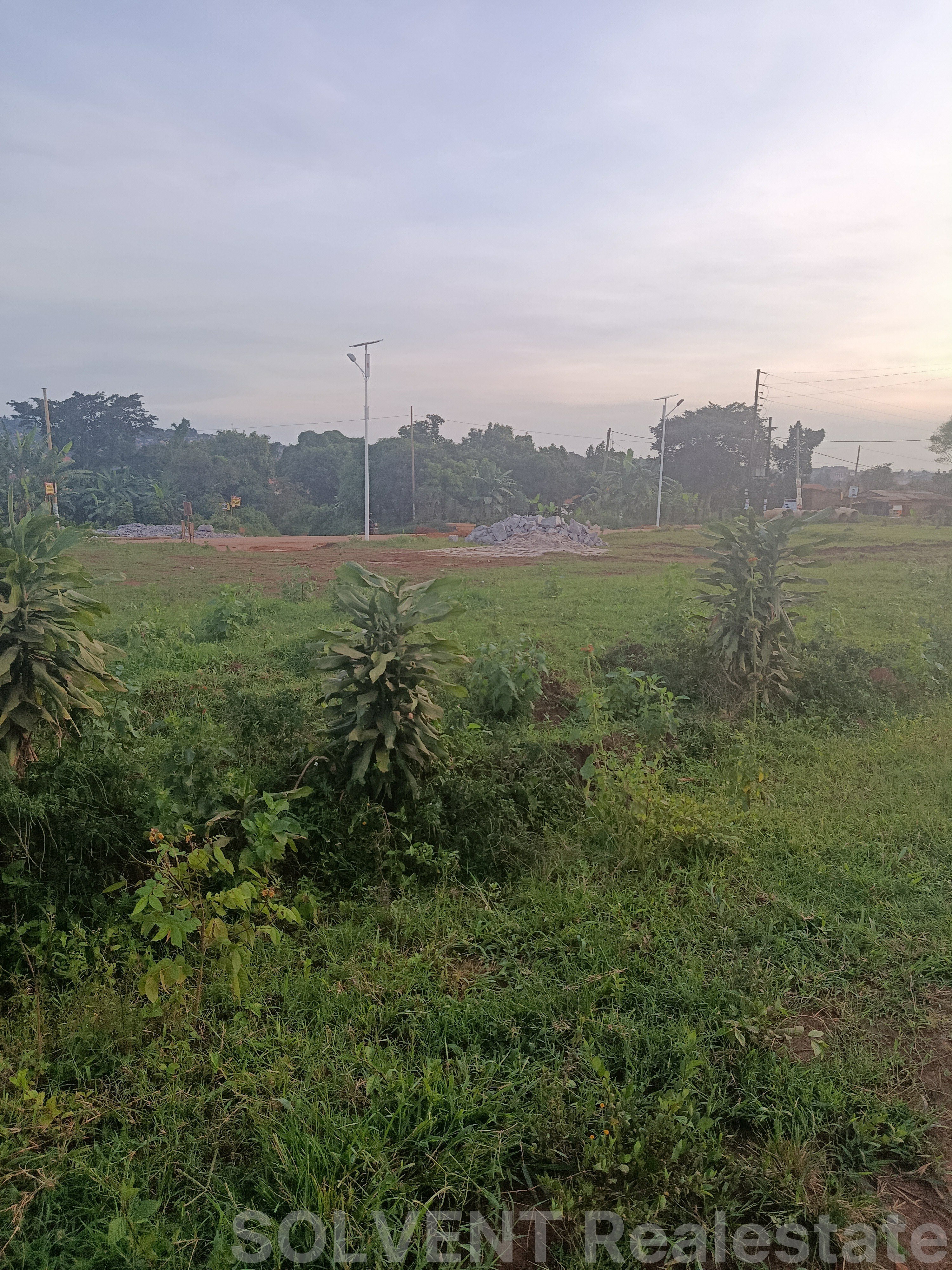 50x100 PLOT IN SEETA BAJJO