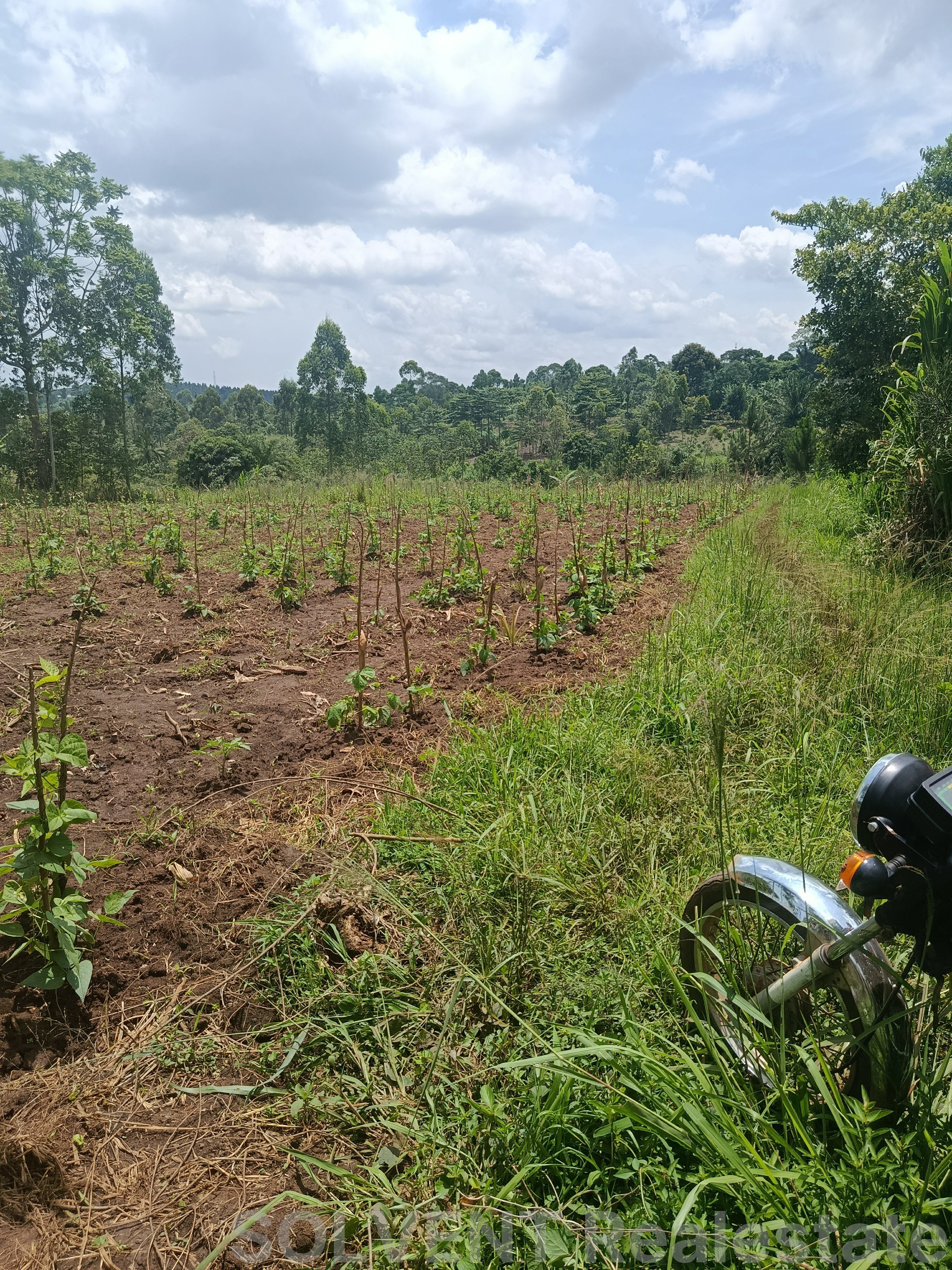 50 x 100 FT PLOT IN KATETE, KABEMBE