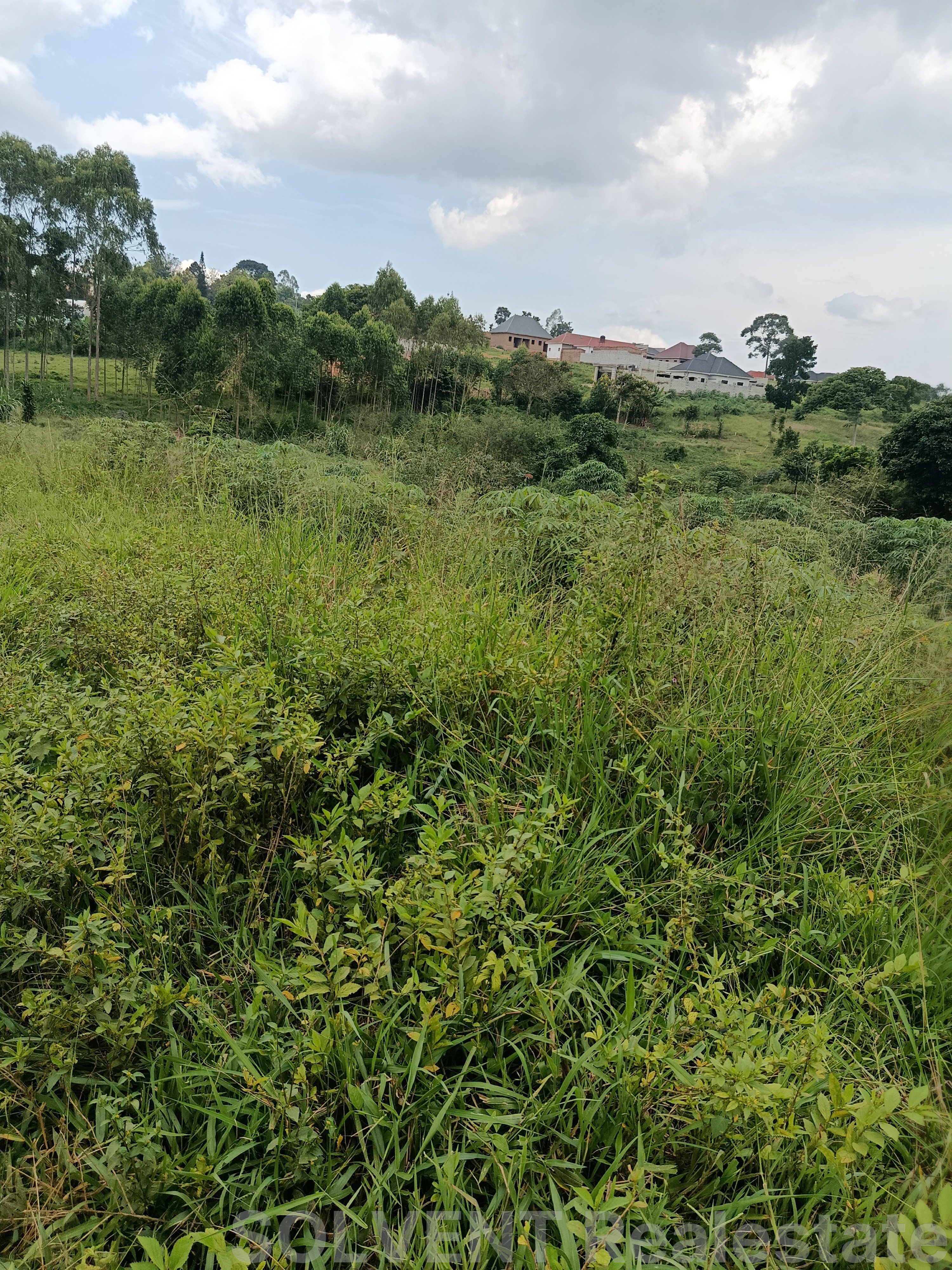 50X100  PLOT IN KIYUNGA