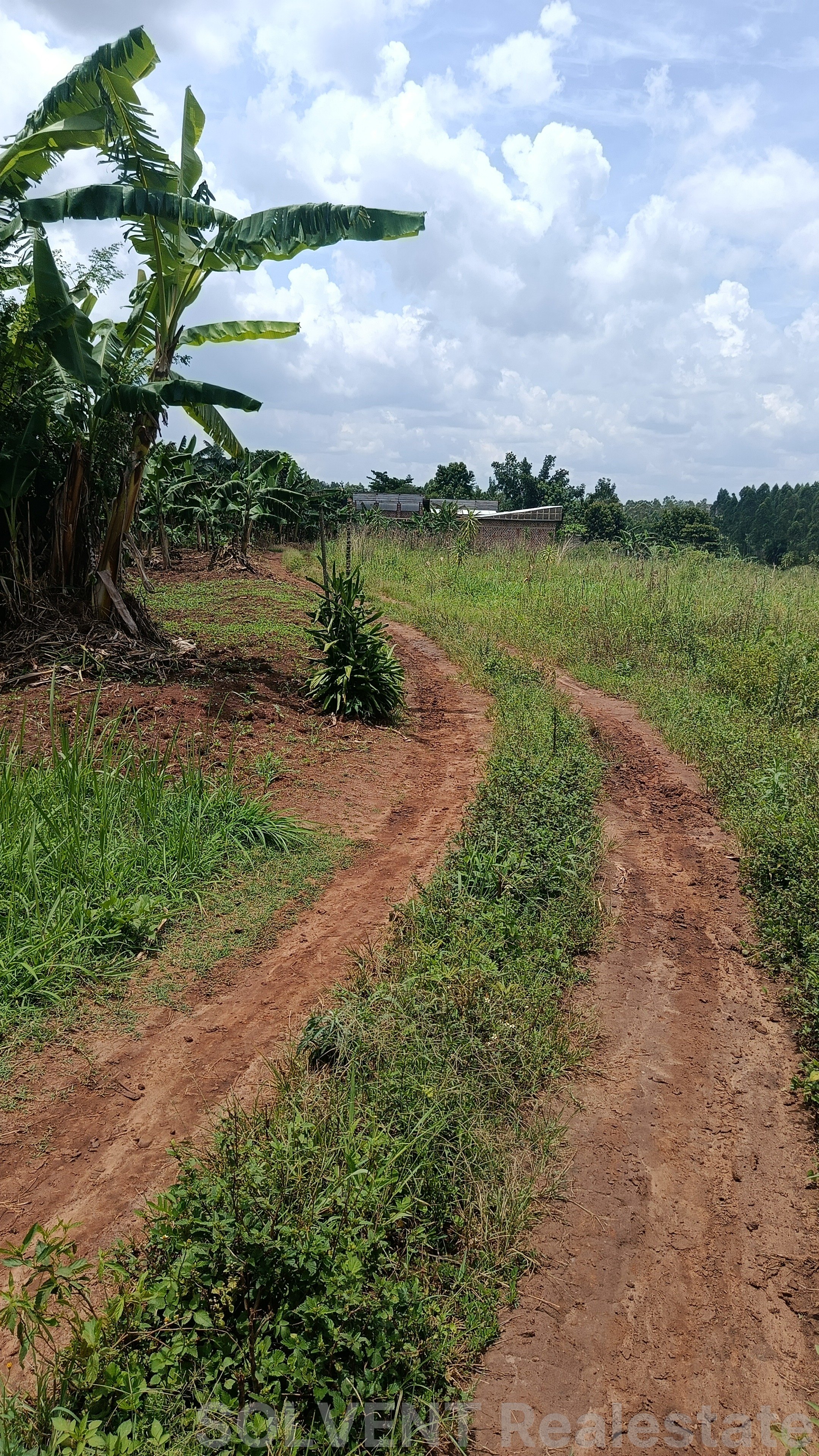 100 X 100 FT PLOT IN KATETE