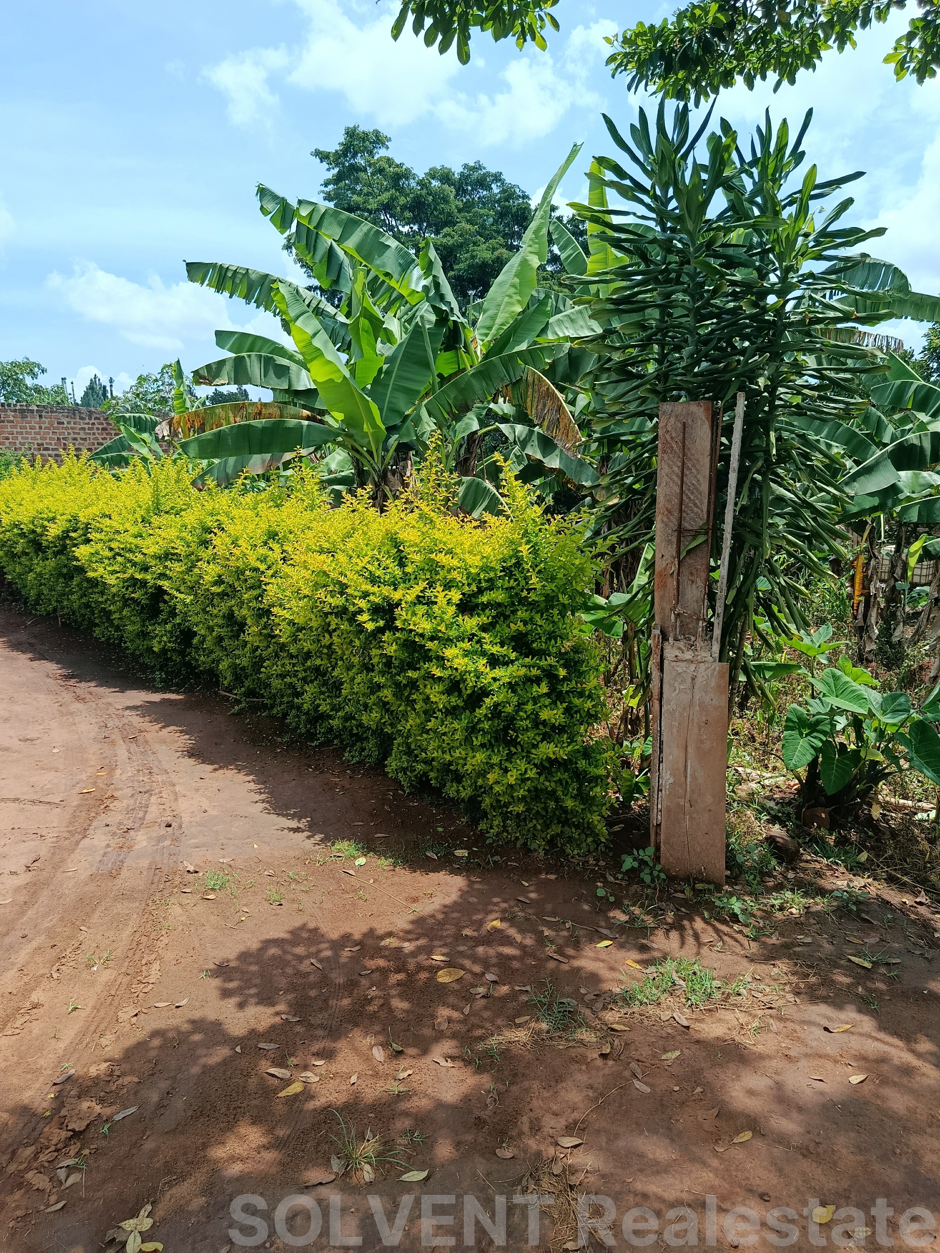 50X100 FT PLOT IN KABEMBE KIKANDWA