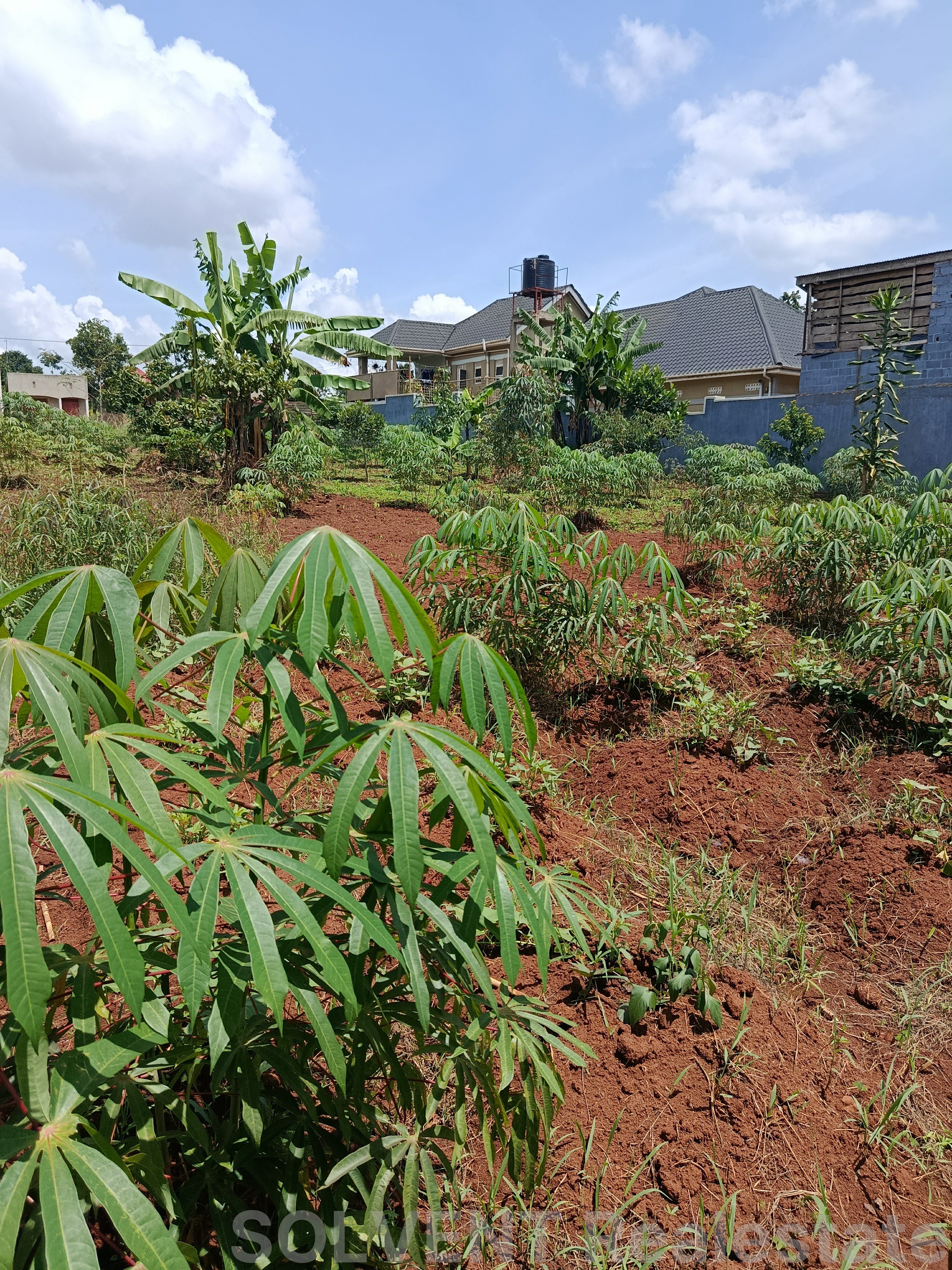 50X100 FT PLOT IN KABEMBE KIKANDWA