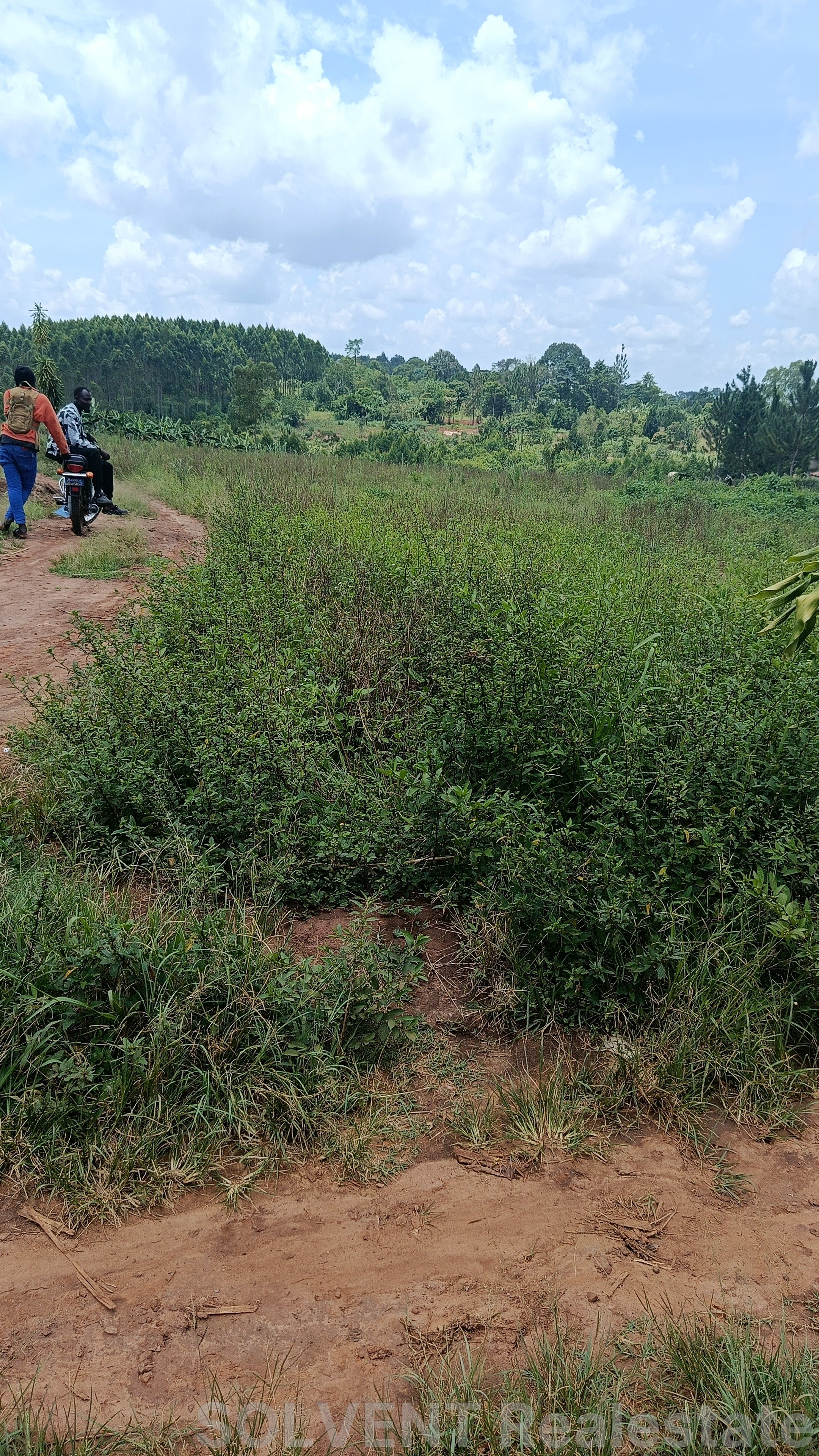 50X100 FT TITLED PLOT IN KATETE