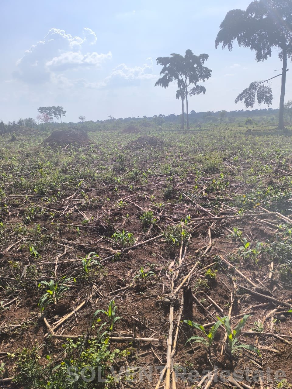 10 ACRES PLOT IN LUWEERO KAKOOGE