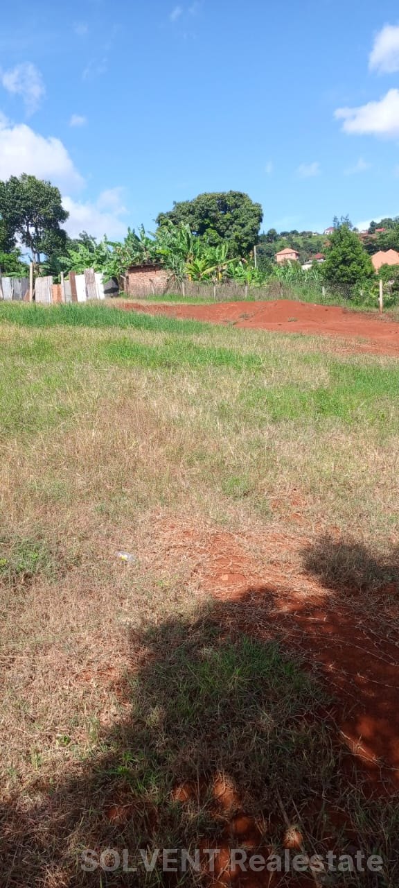 46-DECIMAL PLOT IN SEGUKU