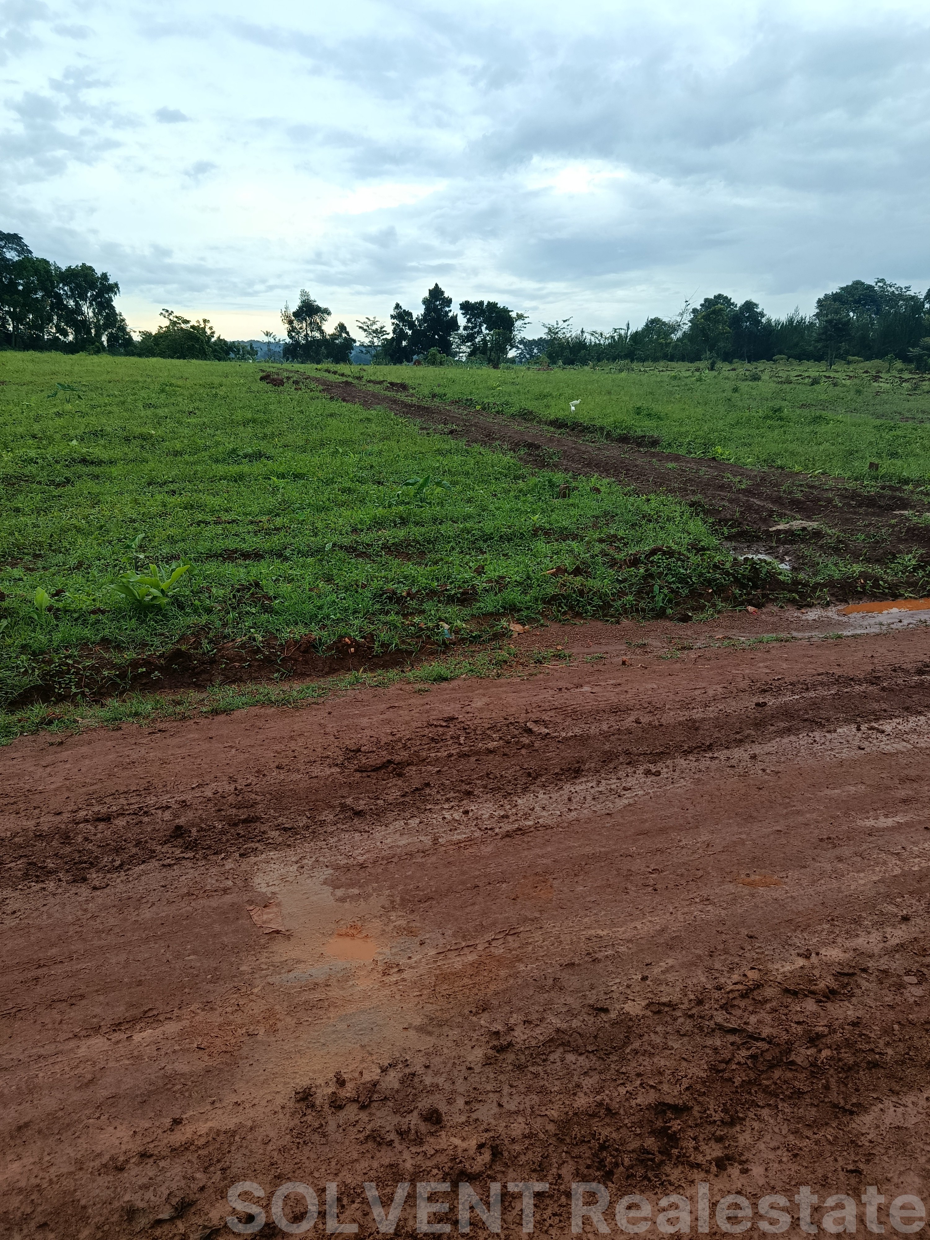 Estate Plots for Sale–Kisoga Banda