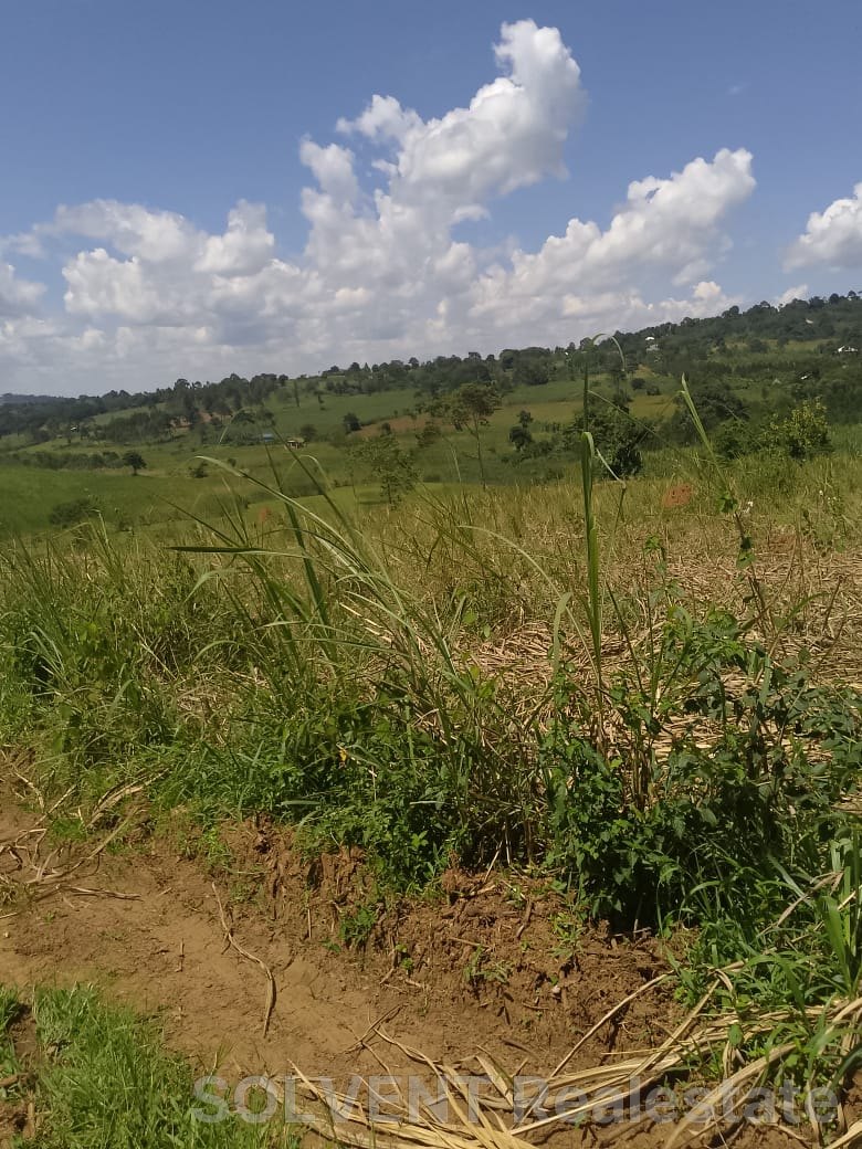 Land for Sale in Buikwe, Ajiija
