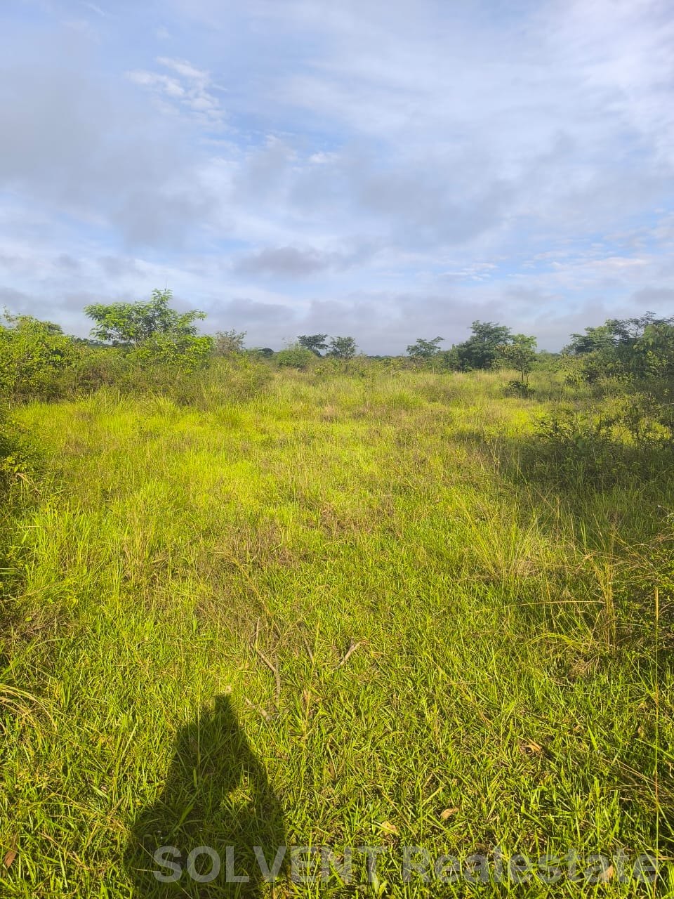 25 ACRES PLOT IN LUWEERO KAKOOGE