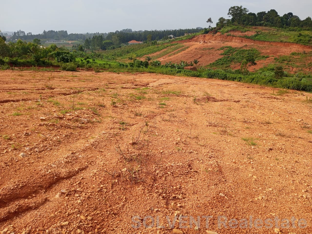 50*100 PLOTS NAKASAJJA ESTATE